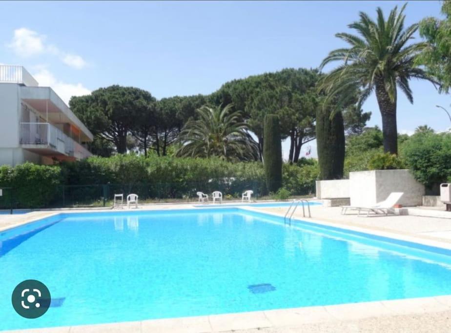 Appt St Tropez ,Magnifique T2, Piscine ,Terrasse, Emplacement Ideal ,Front De Mer, Сен-Тропе Екстер'єр фото